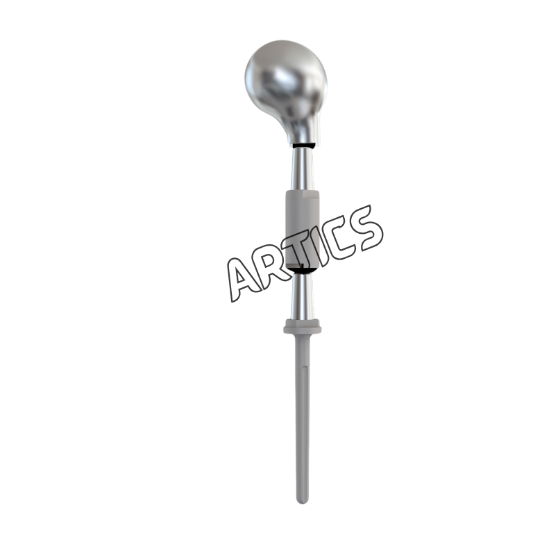 Proximal Humerus Prosthesis System